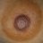 devyamishra
